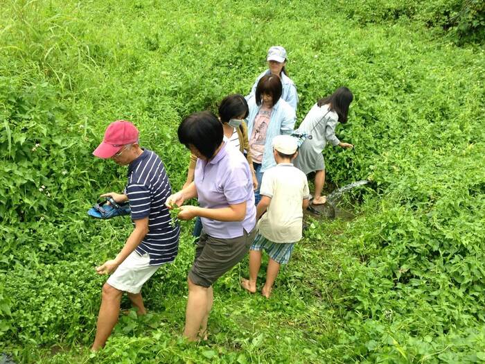 翻動教育的泥土地: 東部高中職教師多元文化增能工作坊 活動紀錄圖片